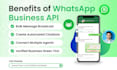 setup whatsapp business API for bulk whatsapp message marketing, chat automation