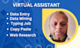 do data entry, copy paste, data scrapping