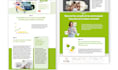 make you a stunning website