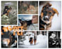 produce high quality european ugc in finnish or english