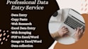 do fast and accurate data entry, PDF to word, image to document conversion