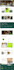 do wordpress website development, design or redesign wordpress blog website