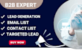 target cold email b2b lead generation, web research, data entry