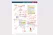tutor you first aid nbme and uworld for usmle and cbse