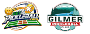 create pickleball logo design within 24 hours