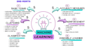 provide personalized tutoring for data science and yolo