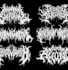 design death metal logo, slamming,gore grind,black metal