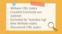 fix google indexing, SEO errors, fast crawl solutions