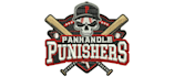 do professional embroidery digitizing in 1 hour