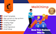 provide expert mailchimp consultation