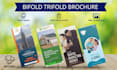 professional trifold and flyer design creative and effective
