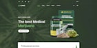 do professional shopify store setup and optimization