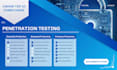 penetration test on your website with a professional report