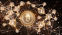 teach you to become profitable crypto or forex trader
