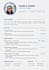 professionally write resume CV and cover letter, ats optimize