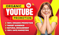 super fast organic youtube video promotion to go viral