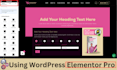 provide you lead collect landing page and dynamic web design using elementor pro