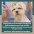 do pet psychic readings