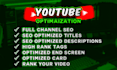 be your youtube video SEO expert and channel growth specialist