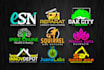 create exceptional modern business logo design and redesign