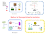 illustrate scientific, medical diagram graphical abstract, research presentation