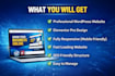 design or redesign a professional wordpress website for you