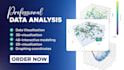 provide professional data analysis and data mining services