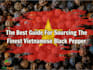 help you find sources in vietnam