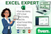 do ms excel data clearing, formatting, data entry and pdf to excel