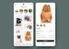 create aesthetically pleasing and intuitive UX UI designs