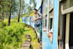arrange your personalized travel itinerary  in sri lanka