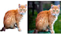 remove background perfectly for photos
