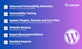 perform a wordpress website security assessment and protection