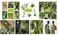 create hand drawn digital watercolor botanical seamless pattern