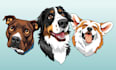 do animals cartoon illustration