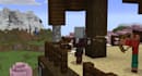 play minecraft with you
