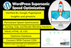 do wordpress super speed optimization for google pagespeed insight and gtmetrix