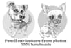 draw a custom pet caricature in pencil