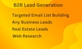 provide b2b lead generation and find valid emails address