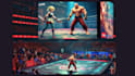 develop fighting game, multiplayer fighting games, 3d street fighting game
