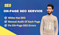 optimize your websites onpage seo for higher ranking