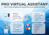 be your overall pro virtual assistant and personal assistant