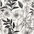 draw botanical illustration art for you