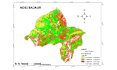 do gis mapping, cartography, arcgis, and qgis maps