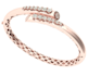 do 3d jewellery designer