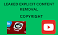 takedown harassing defaming from reddit and youtube under dmca