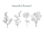 create minimalist elegant botanical floral line art