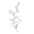 create botanical flower, plants, fruits svg and png clipart