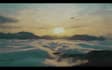 do oil paint video animation