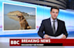 put you on the breaking news with your pic headline,text and channel